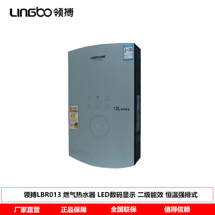 领搏lingbo智能燃气热水器 B50金色LB-R013
