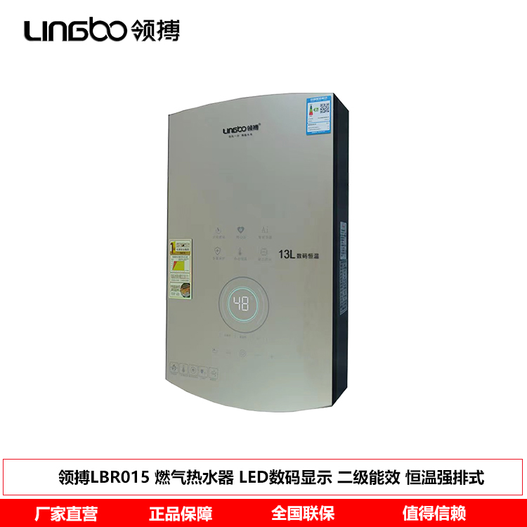 领搏lingbo智能燃气热水器 银色LB-R015